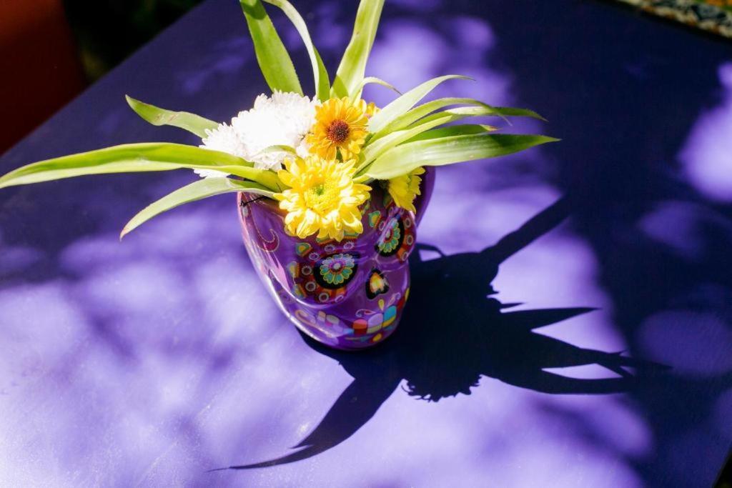 "Vainilla B&B" - Stylish Comfort In Playa Del Carmen Playa del Carmen Exterior foto