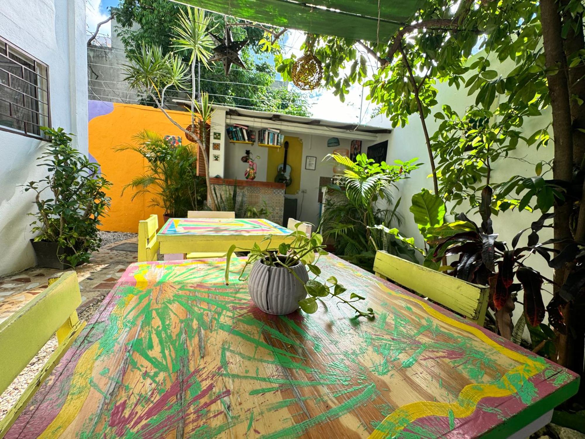 "Vainilla B&B" - Stylish Comfort In Playa Del Carmen Playa del Carmen Exterior foto