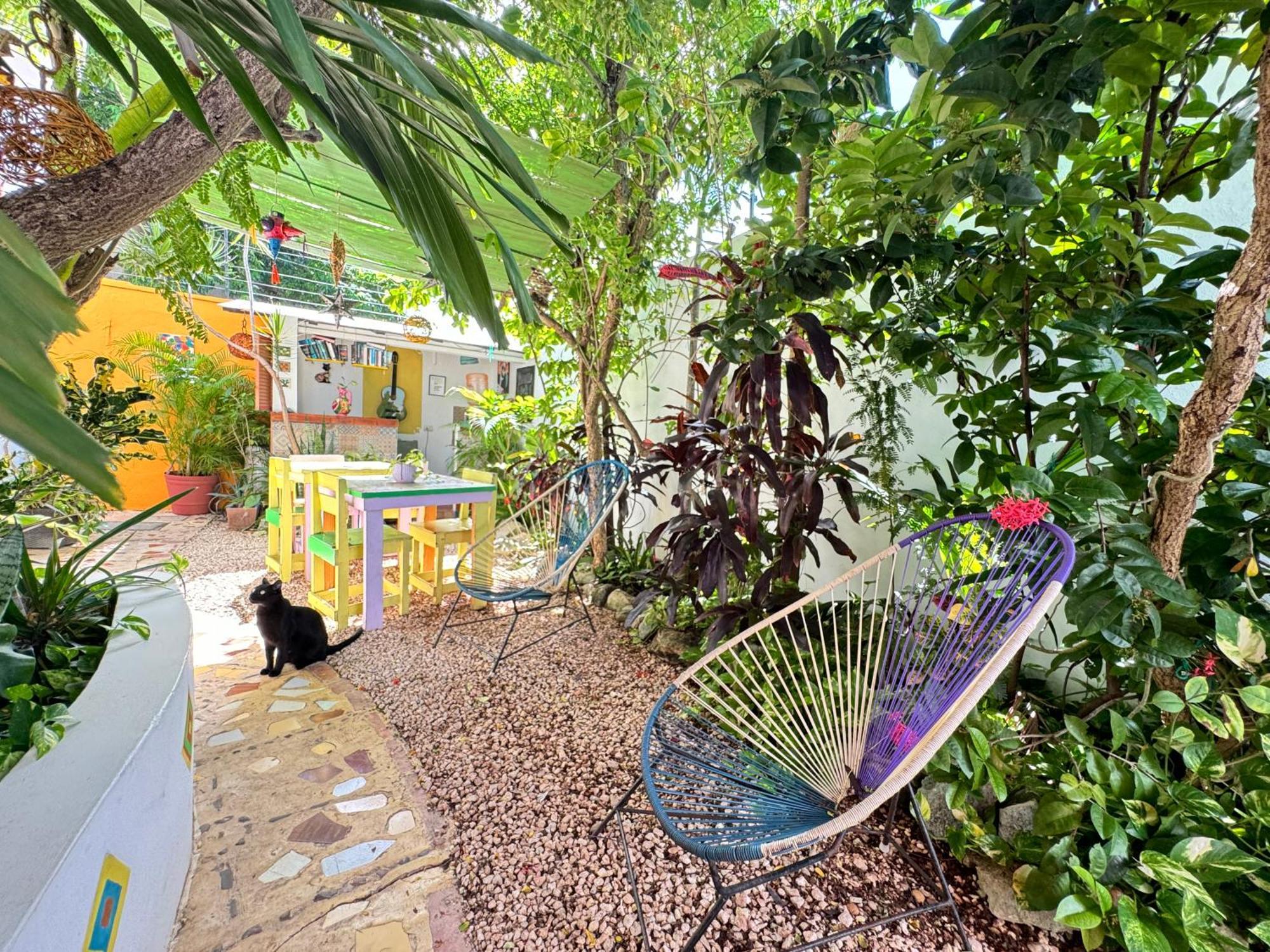 "Vainilla B&B" - Stylish Comfort In Playa Del Carmen Playa del Carmen Exterior foto
