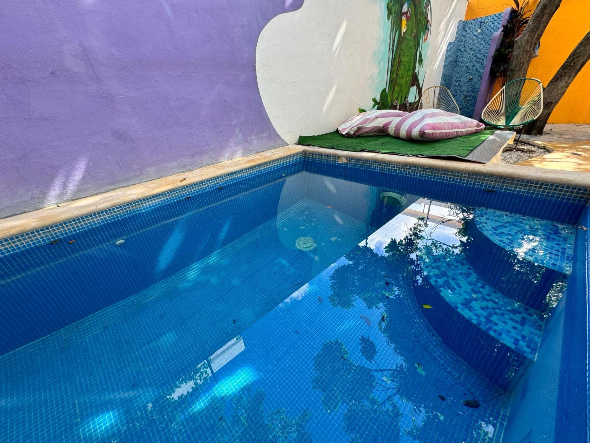 "Vainilla B&B" - Stylish Comfort In Playa Del Carmen Playa del Carmen Exterior foto