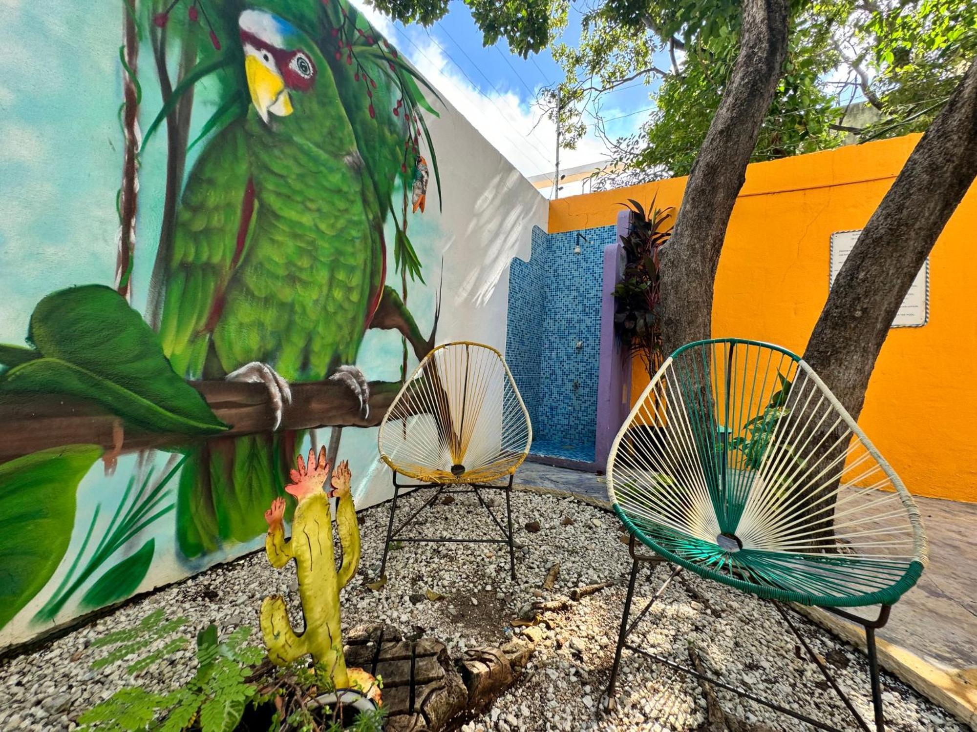 "Vainilla B&B" - Stylish Comfort In Playa Del Carmen Playa del Carmen Exterior foto