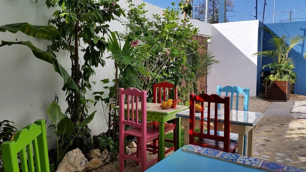 "Vainilla B&B" - Stylish Comfort In Playa Del Carmen Playa del Carmen Exterior foto