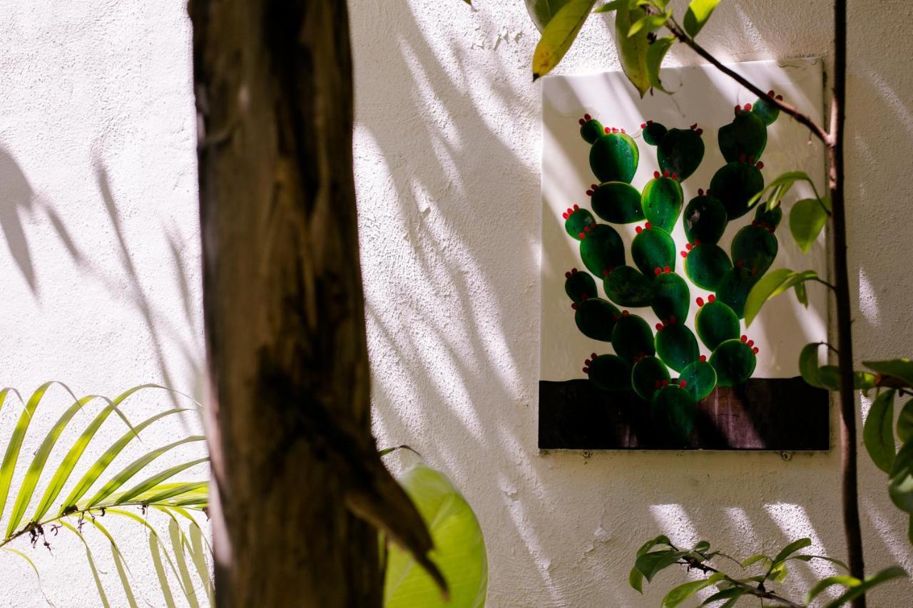 "Vainilla B&B" - Stylish Comfort In Playa Del Carmen Playa del Carmen Exterior foto