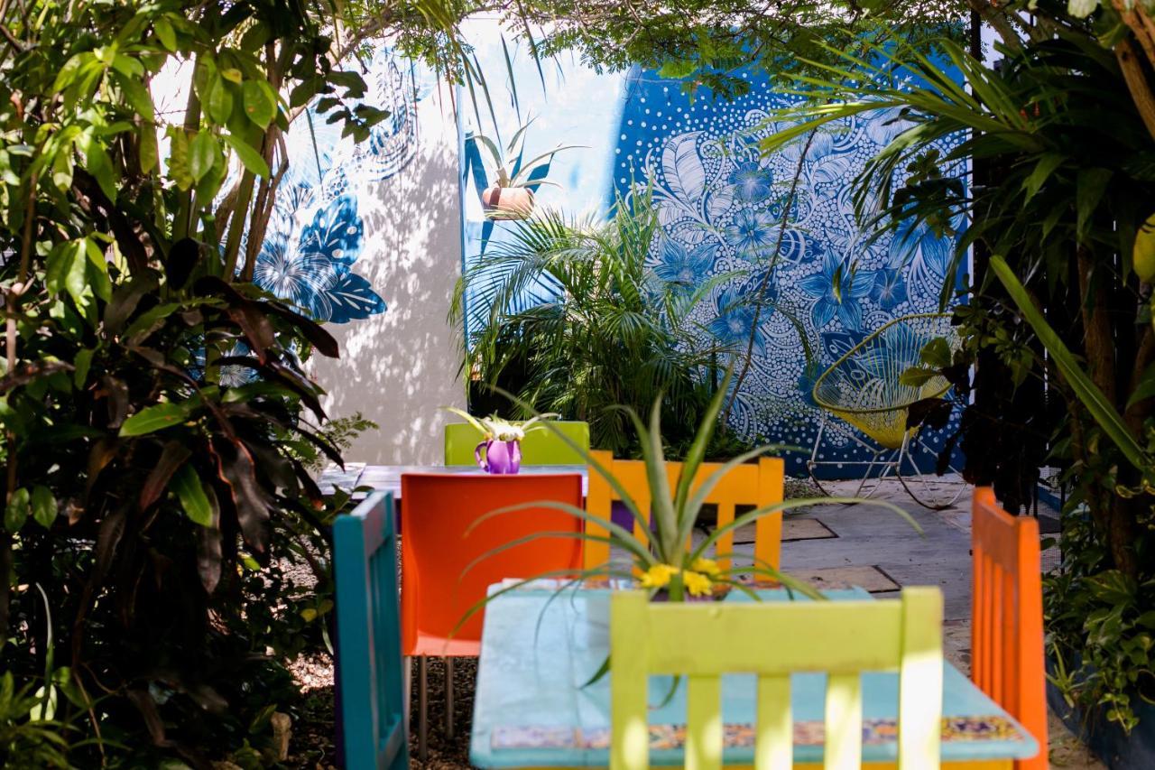 "Vainilla B&B" - Stylish Comfort In Playa Del Carmen Playa del Carmen Exterior foto